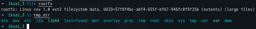 rootfs info